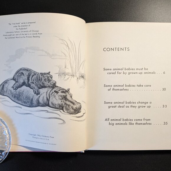 I Want to Know About Animal Babies, Sounds & Moon, Sun & Stars by Illa Podendorf - Picture 4 of 16